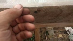 Конденсат в поликарбонате неизбежное зло