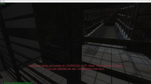 Worst Hostage Negation Ever - SCP SL смотреть онлайн