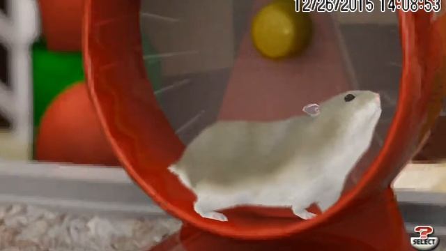 Petz - Hamsterz Bunch PPSSPP v.1.1.1 on Nvidia Shield Tablet (Android) смотреть онлайн