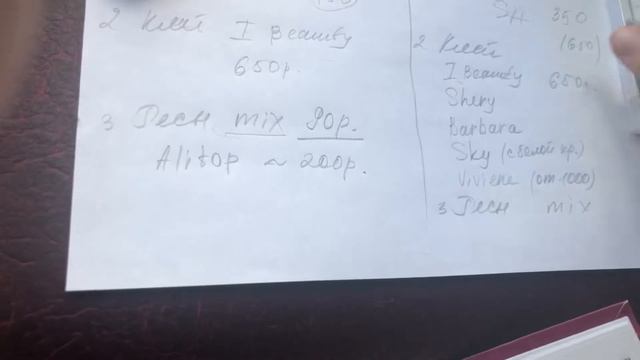 Список для пробного занятия по наращиванию ресниц. смотреть онлайн