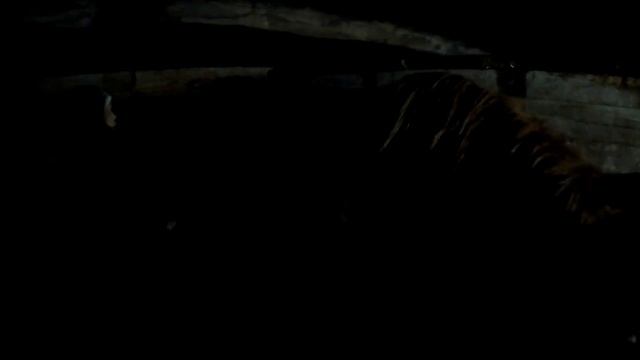 Все на уколы!!!//Жизнь в деревне. смотреть онлайн