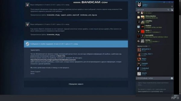 Размытые шрифты Steam Chat