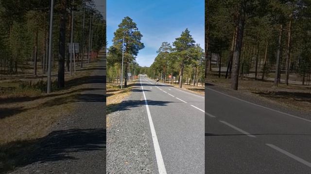 Контрольная тренировка смотреть онлайн
