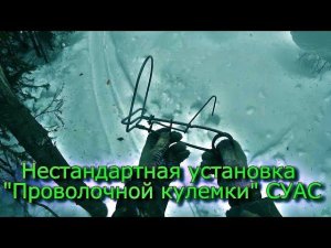 Нестандартная установка "Проволочной кулемки" СУАС