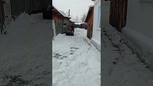 30 ноября 2023 г. смотреть онлайн