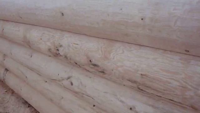 Сруб бани 3х5 в лапу с террасой 2,5 м смотреть онлайн