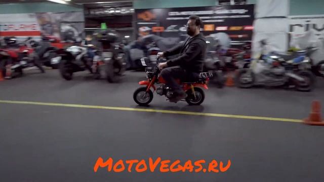 Honda Gorilla Z50J-1 1978 год