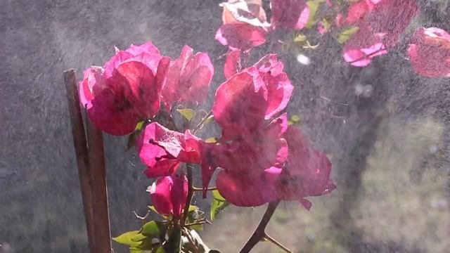 Canon EOS 100D Slow Motion Test смотреть онлайн