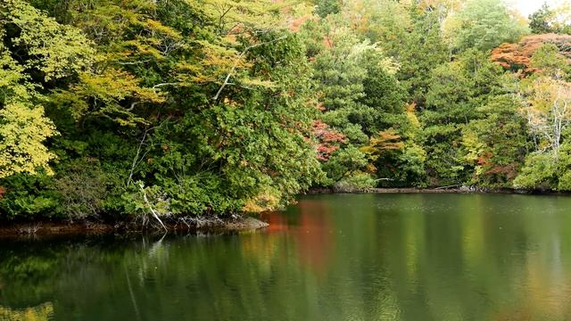 Powerful Healing Relaxation for Anxiety, Stress, and Chronic Fatigue:Calming Music and Nature Scene смотреть онлайн