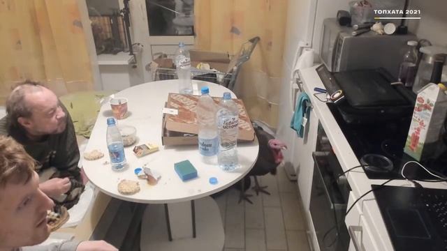 VJLink принес домой индюка Эдик моранди не удивлён Стрим на кухне продолжается смотреть онлайн