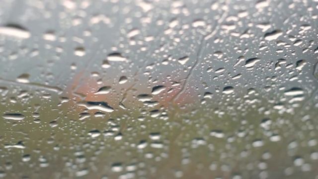 Ежегодный Летний Лагерь