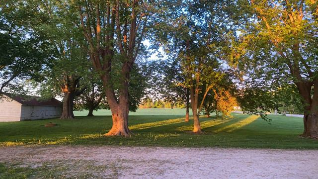 Tal Lightbody and his Blue Five - Summertime (TAKE 2, WITH CORNET SOLO) (ONE MAN BAND) смотреть онлайн