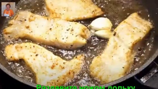 Зоопарк и Дикие Животные