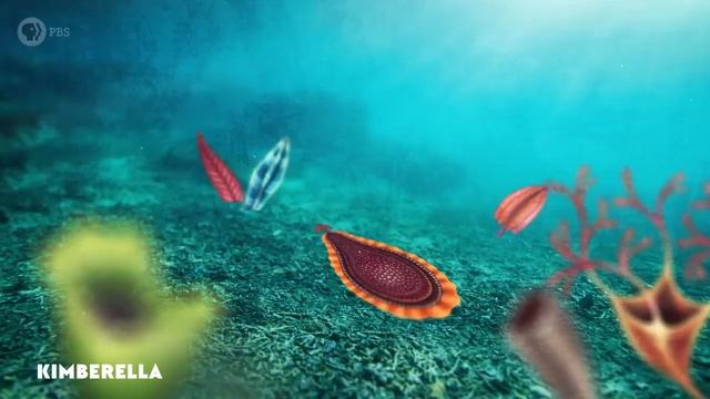 Эволюция кровеносной системы смотреть онлайн