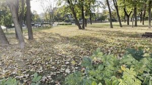 Москва слезам не верит