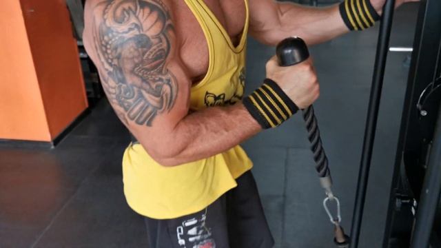 Подъем на бицепс в кроссовере через нижний блок смотреть онлайн