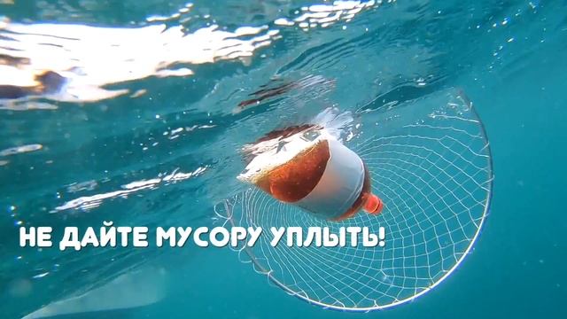Акция #ЧистоеЧерноеМоре смотреть онлайн