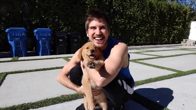 Ex-Boyfriend Meets My New Puppy смотреть онлайн