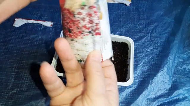 Выращивание семян лаванды,флоксы,лук смотреть онлайн