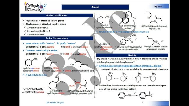 Amine Part 1 ( Nomenclature & basicity ) смотреть онлайн