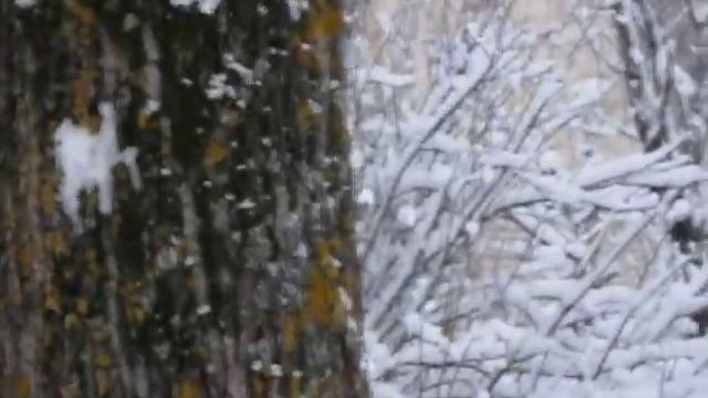 Высоко сижу, далеко гляжу. смотреть онлайн