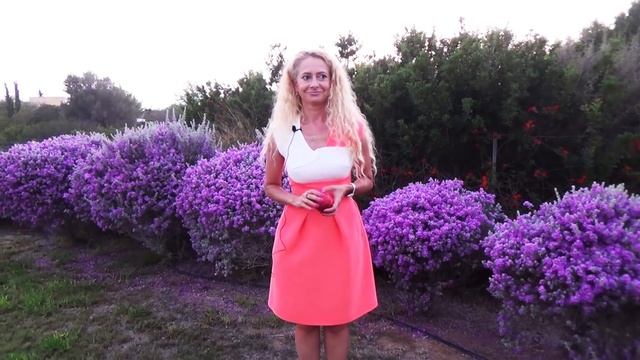 Женская мудрость в отношениях с мужчиной. Кто должен проявлять инициативу? Женская инициатива смотреть онлайн