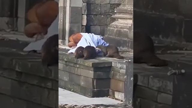 дайте поспать смотреть онлайн