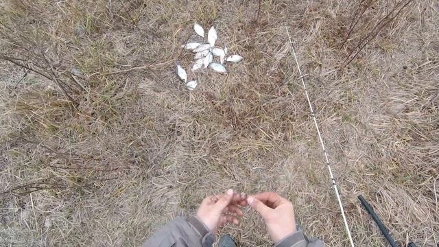 Рыбалка на червя .Наловил на засолку густеры (тарашка) смотреть онлайн