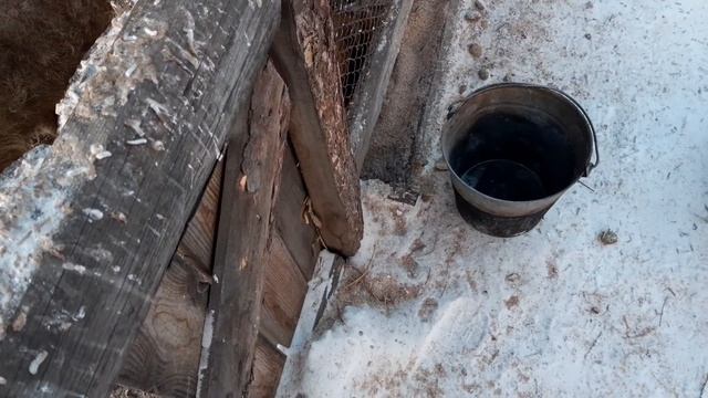 ???Ёршик,Варежка и одно яйцо.??? смотреть онлайн