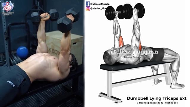 How To Build Your Triceps Fast (6 Effective Exercises)-تمارين الترايسبس смотреть онлайн