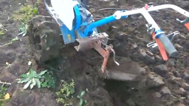 21 октября 2019 г. смотреть онлайн
