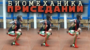 БИОМЕХАНИКА ПРИСЕДАНИЙ. Как нужно приседать