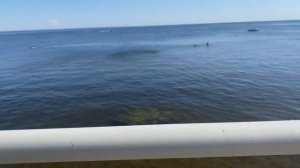 ЖИЗНЬ В КАЗАНИ/ЛАИШЕВО/КАМСКОЕ МОРЕ 2021//ПЛЯЖ КАМСКОЕ МОРЕ/ОБСТАНОВКА НА ПЛЯЖЕ