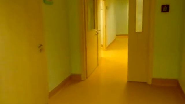 Коридор дородового отделения центра им. Алмазов. смотреть онлайн
