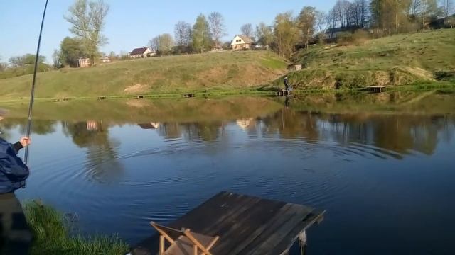 Рыбалка ловля форели в Подмосковье . смотреть онлайн