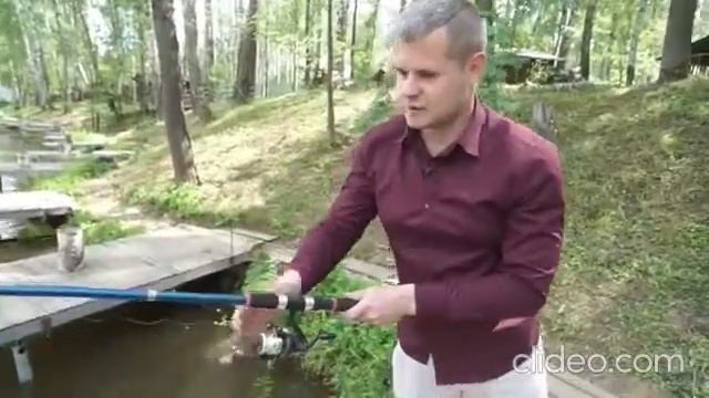 База семейного отдыха Золотая рыбка (goldfish.rest) смотреть онлайн