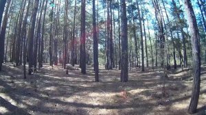 Маскировочный костюм снайпера Леший Гилли Кикимора