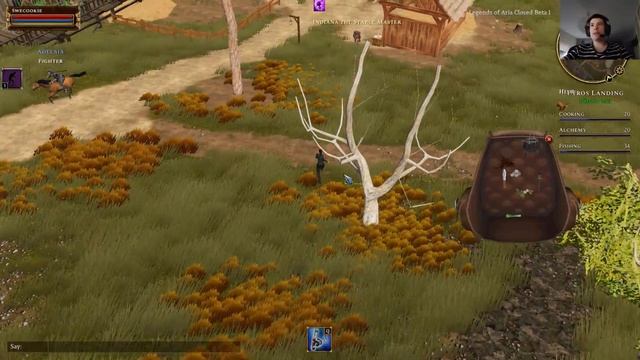 Legends of Aria: how to highlight смотреть онлайн