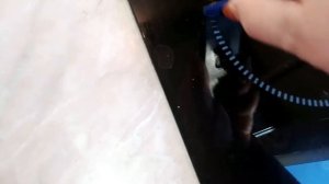 174/Vlog уборка -тестирую скребок для стеклокерамики