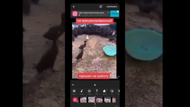 Как с помощью приложения InShot вырезать видео по нужному размеру смотреть онлайн