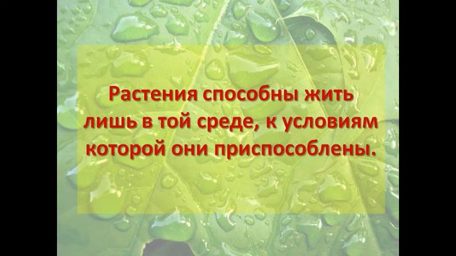 Четыре среды жизни на Земле смотреть онлайн