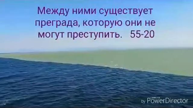 Два моря, которые не "смешиваются" ☝️ смотреть онлайн