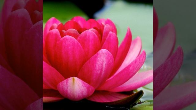 Hummee Hum Brahm Hum