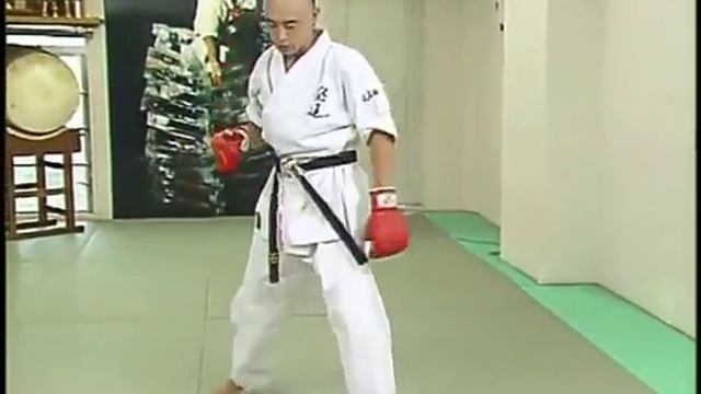 Лучшие техники КУДО Основы нанесения ударов смотреть онлайн