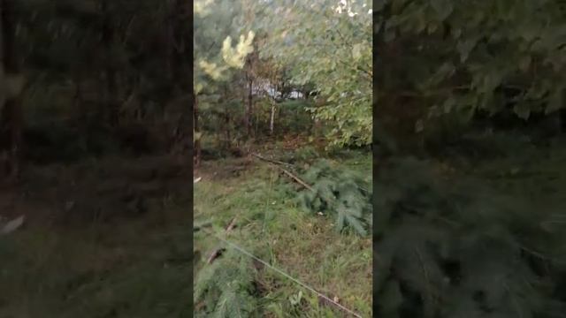 Разбивка котлована под фундамент, Кедровая 25 смотреть онлайн