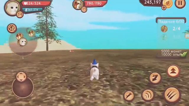 CAT SIM ONLINE КАК СОЗДАТЬ СВОЮ СЕМЬЮ?