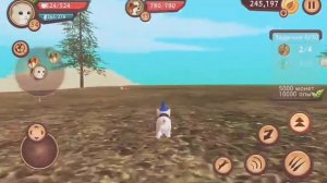 CAT SIM ONLINE КАК СОЗДАТЬ СВОЮ СЕМЬЮ?