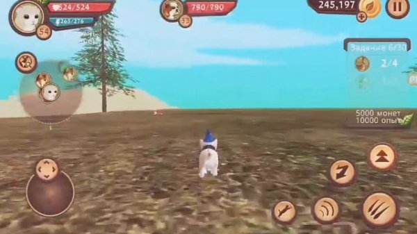 CAT SIM ONLINE КАК СОЗДАТЬ СВОЮ СЕМЬЮ?