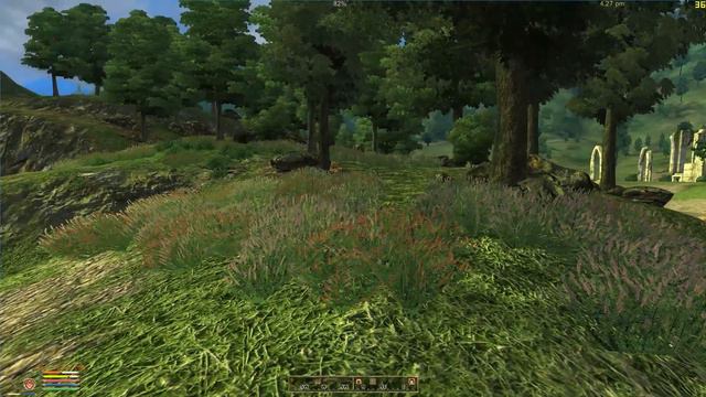 Let's Play TES IV - Oblivion: Format Info and Technical Specs смотреть онлайн