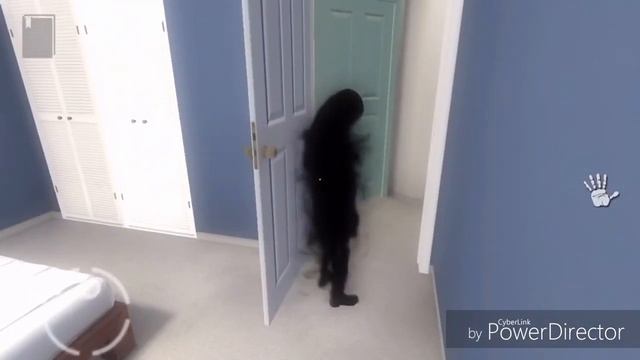 Обзор игры | PARANORMAL TERITORY | Я советую сыграть в ету игру она очень страшная!! смотреть онлайн